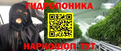 a pvp Вязники