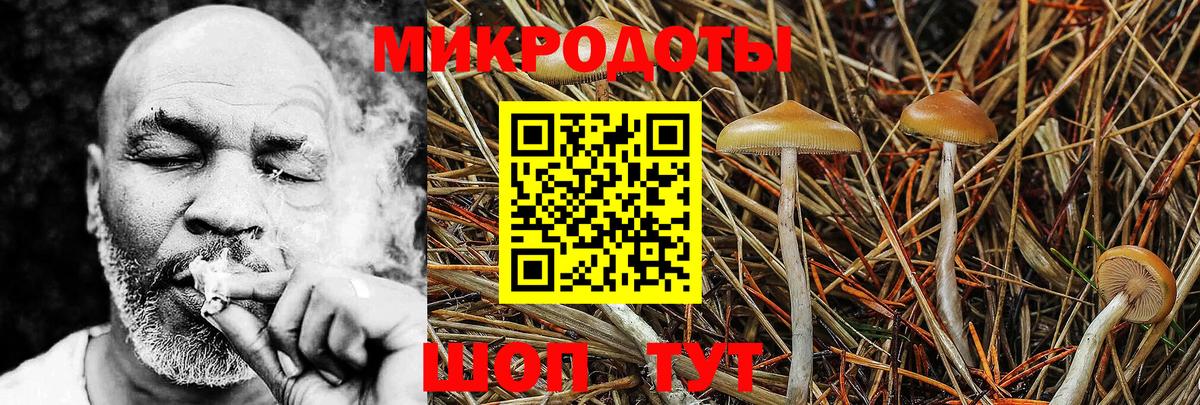 где купить наркоту  Вход с VPN  Барнаул  Псилоцибиновые грибы мицелий 