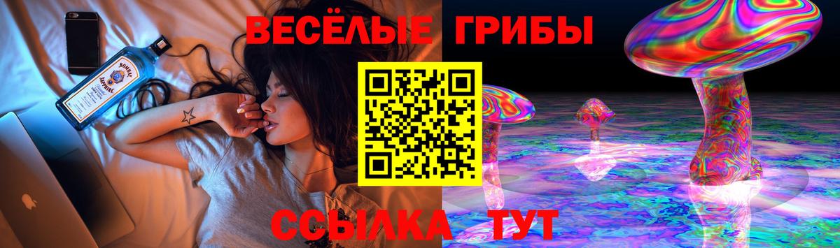 Псилоцибиновые грибы GOLDEN TEACHER Барнаул
